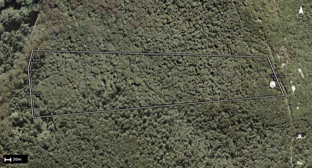 Aerial of 312 Repeater Station Road, Springbrook QLD 4213 with the block outlined